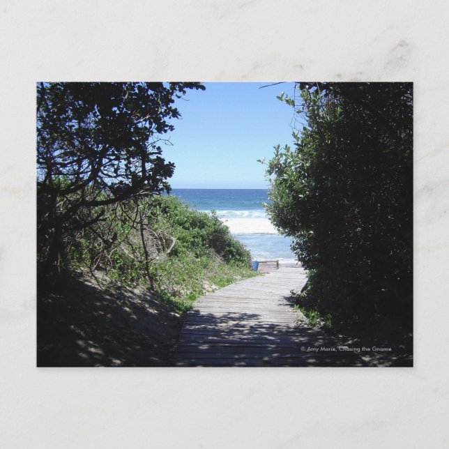 Crooked Path Postcard (Front)