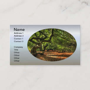 Crooked Trees of Lavizzara Business Card