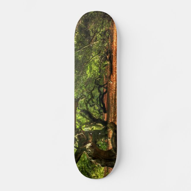 Crooked Trees of Lavizzara Skateboard (Front)