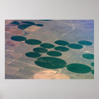 Crop Circle 1