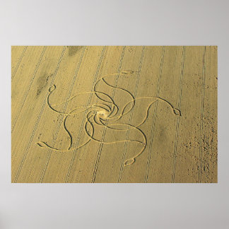 Crop Circle in Diessenhofen, Switzerland / Poster