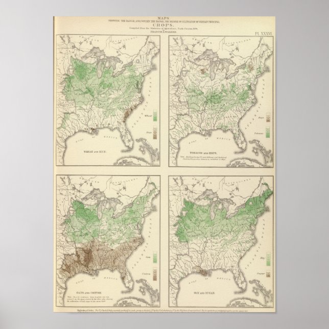 Crops, Statistical US Lithograph Poster (Front)