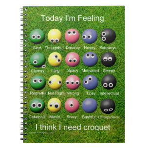 Croquet Emotions Spiral Notebook