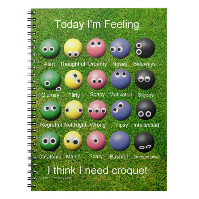 Croquet Emotions Spiral Notebook (Front)
