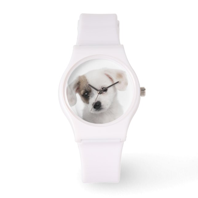 Cross breed puppy (2 months old) watch (Front)