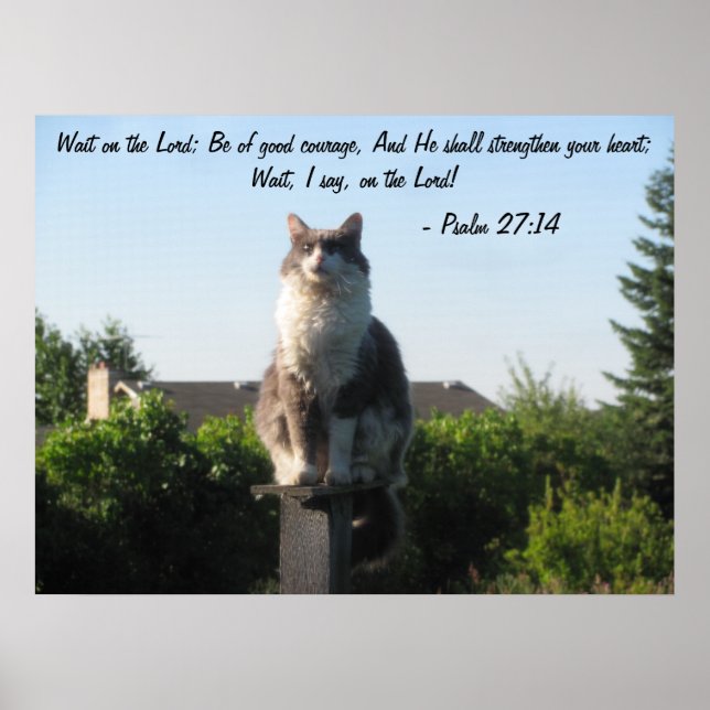 Cross Eyed cat and Psalm 27:14 Poster (Front)