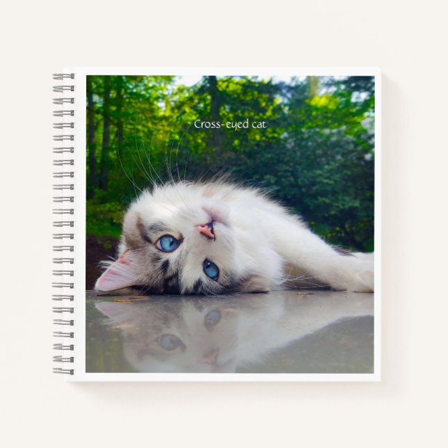 Cross-eyed cat notebook (Front)