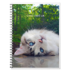 Cross-eyed cat notebook