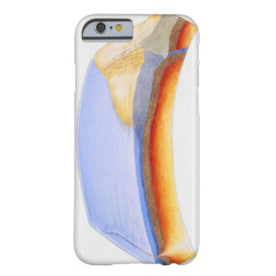 Cross section illustration of formation of barely there iPhone 6 case