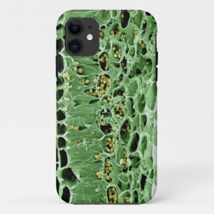 Cross Section of Leaf Case-Mate iPhone Case