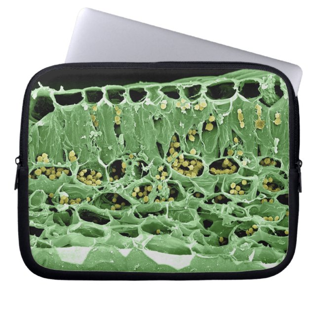 Cross Section of Leaf Laptop Sleeve (Front)