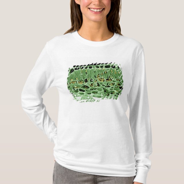 Cross Section of Leaf T-Shirt (Front)