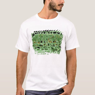 Cross Section of Leaf T-Shirt