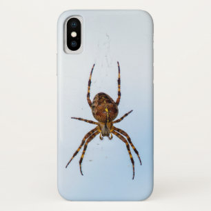 cross spider in web Case-Mate iPhone case