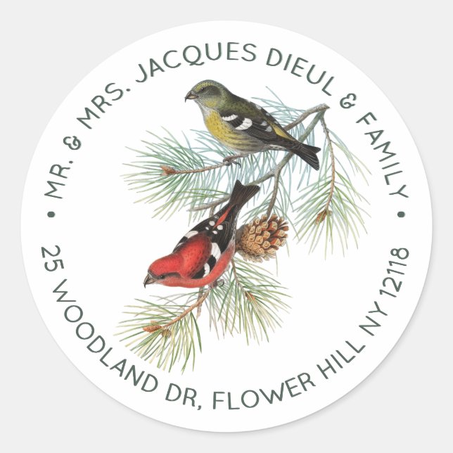 Crossbill Bird Personalised Sage Text  Classic Round Sticker (Front)