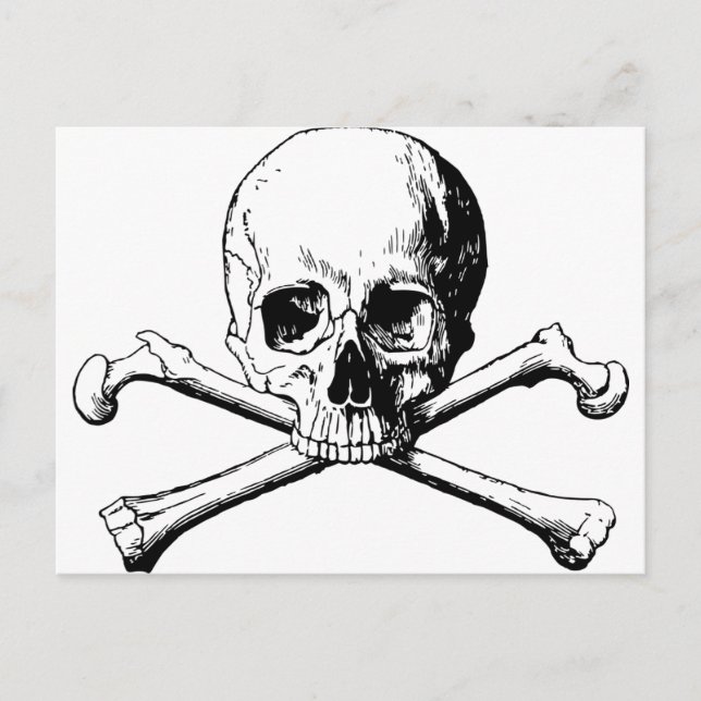 Crossbones skull postcard (Front)
