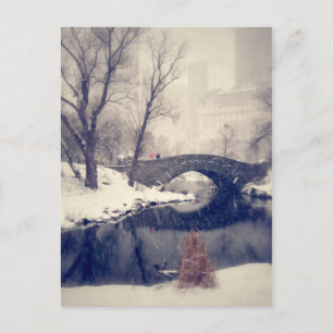 Crossing Bridges Through The Snow In Central Park Postcard