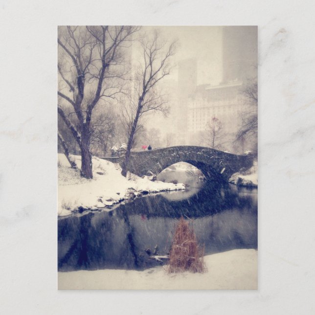 Crossing Bridges Through The Snow In Central Park Postcard (Front)