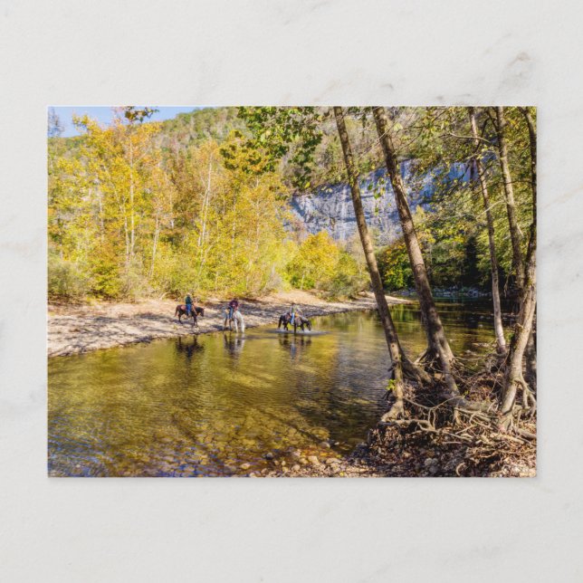 Crossing The Buffalo River Postcard (Front)