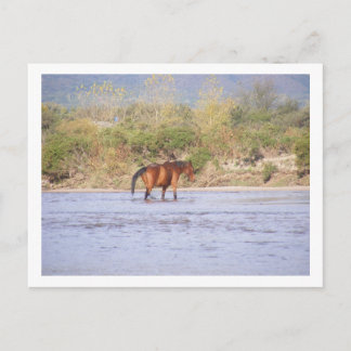 crossing the river postcard