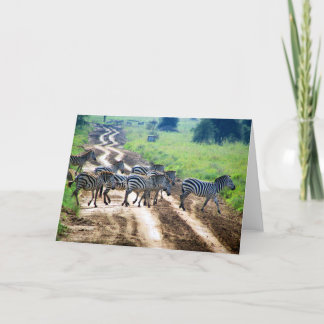 crossing zebra card