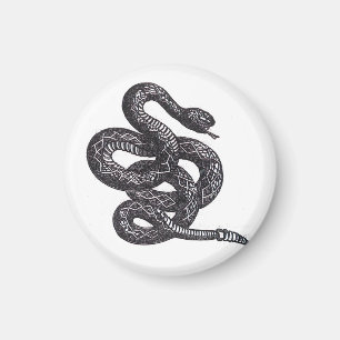 Crotalus Cascavella Snake (Venemous Pit Viper) Magnet