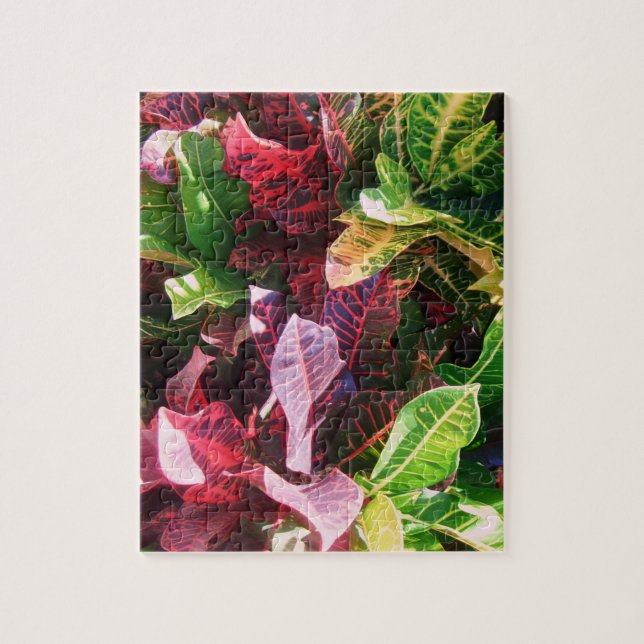 *Croton* Jigsaw Puzzle (Vertical)