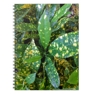 Croton Plant Spiral Notebook