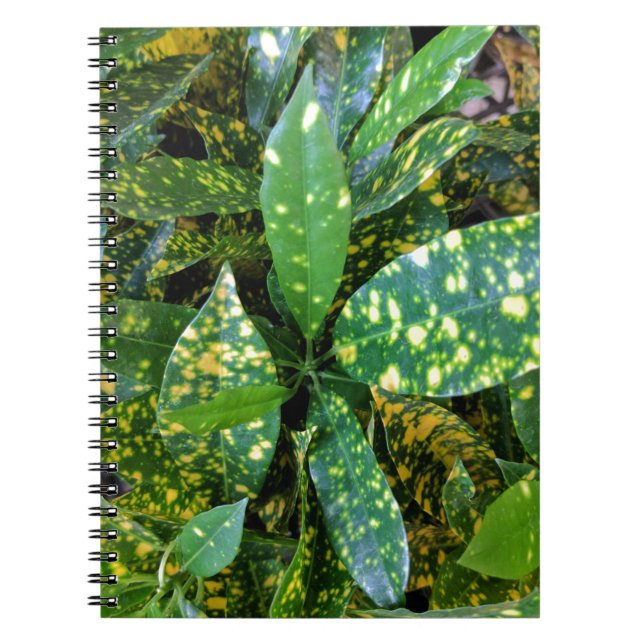 Croton Plant Spiral Notebook (Front)
