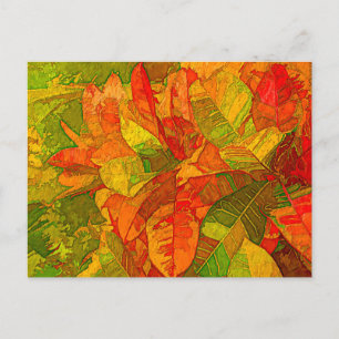 Croton Variegatum Plant Postcard