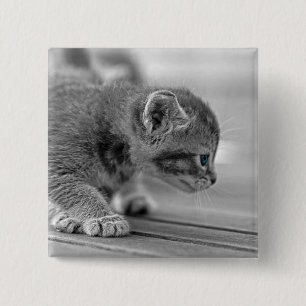 Crouching Kitten 15 Cm Square Badge