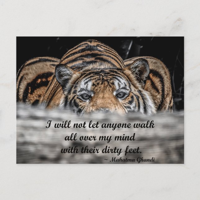 Crouching Tiger inspirational post card (Front)