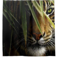 Crouching Tiger