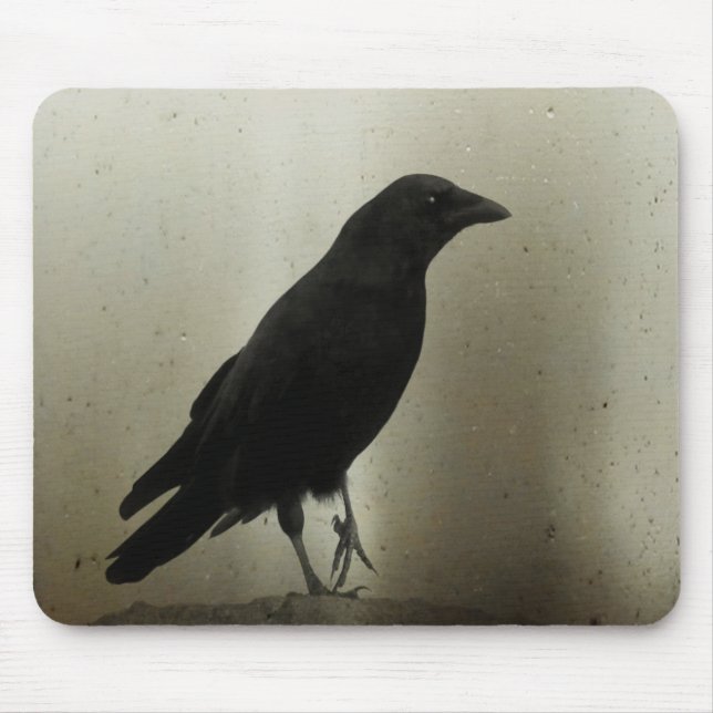 Crow And One Talon up Mouse Pad (Front)