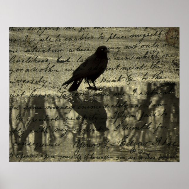 Crow And Poe Papers Poster (Front)
