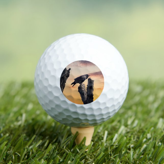 Crow at Sunrise Golf Balls (Insitu Tee)