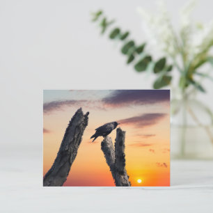 Crow at Sunrise Postcard