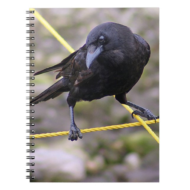 Crow at the Crossroads Spiral Notebook (Front)