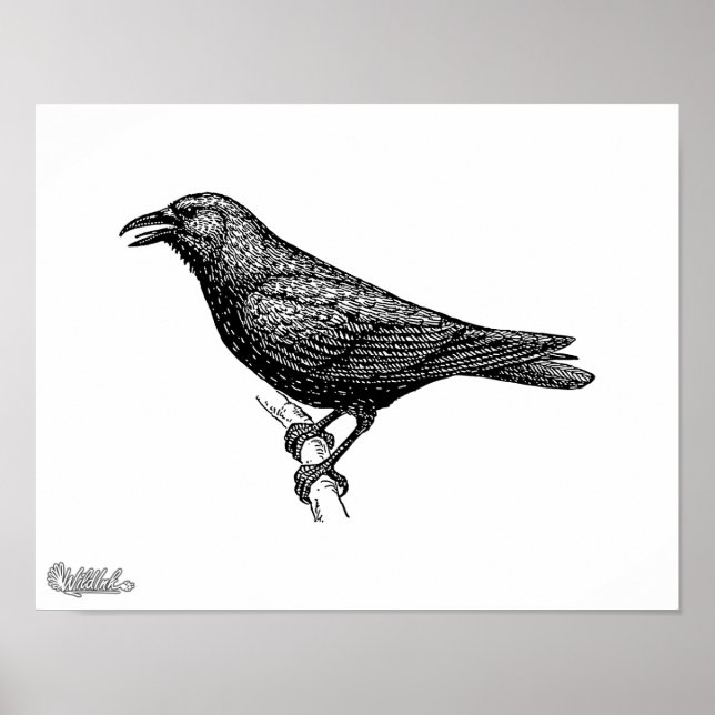 Crow Bird Art Poster (Front)