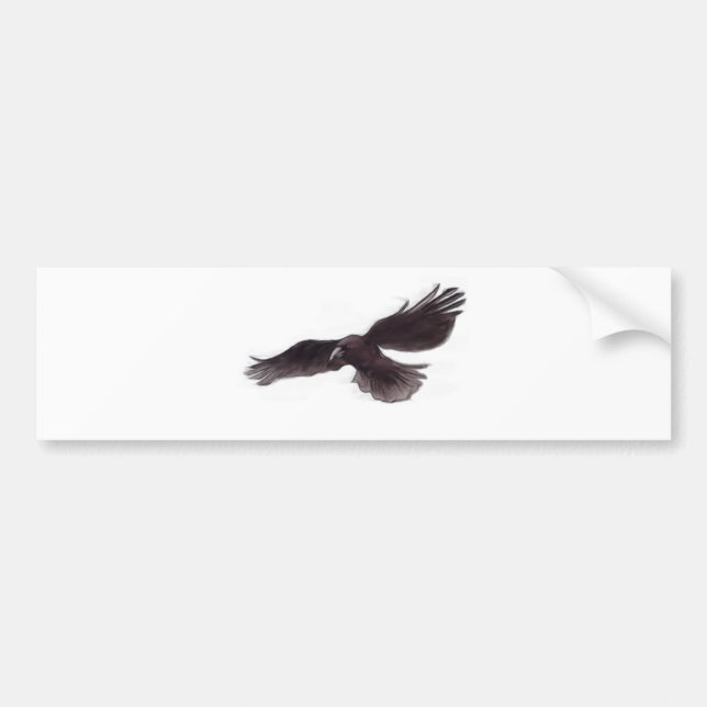 Crow Bumper Sticker (Front)