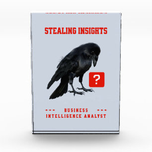 Crow Business Intelligence Analyst Photo Block