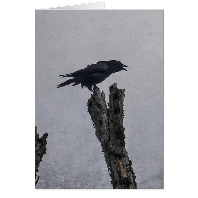 Crow Card (Front)