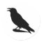 Crow