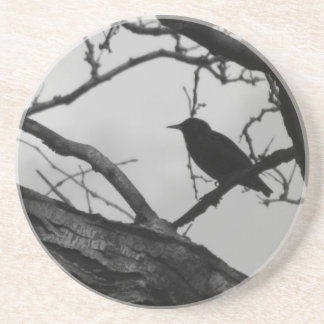 Crow Coaster