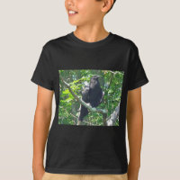 Crow Coordinating Items