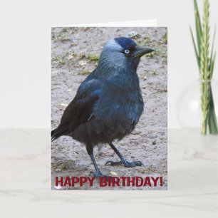 Crow customisable greetings card