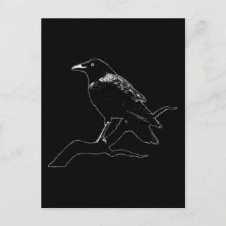 Crow (for dark backgrounds) postcard