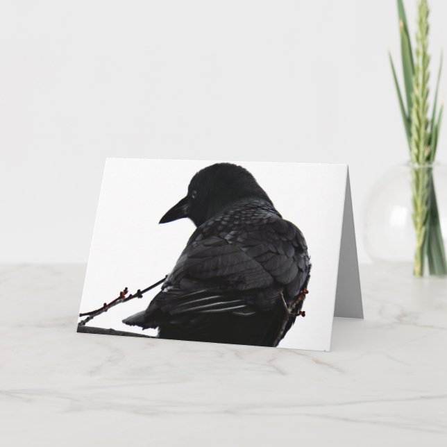 Crow Greeting Card (Front)
