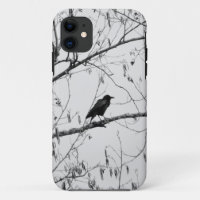 Crow in a Birch Tree