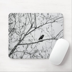 Crow in a Birch Tree Mouse Pad